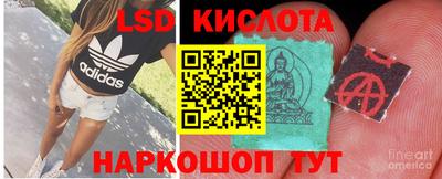 гидропоника Ирбит