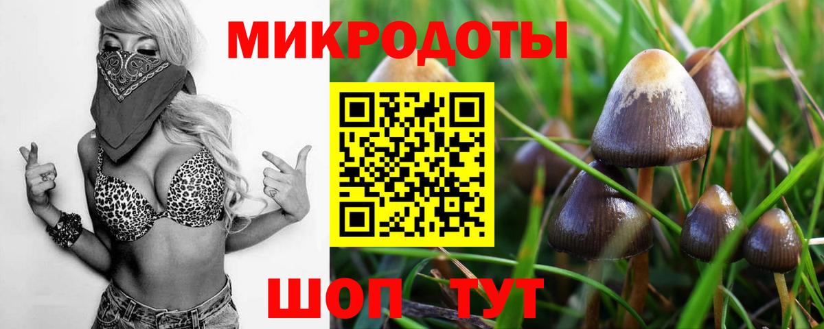 Кимры  Псилоцибиновые грибы мицелий  Вход с VPN 
